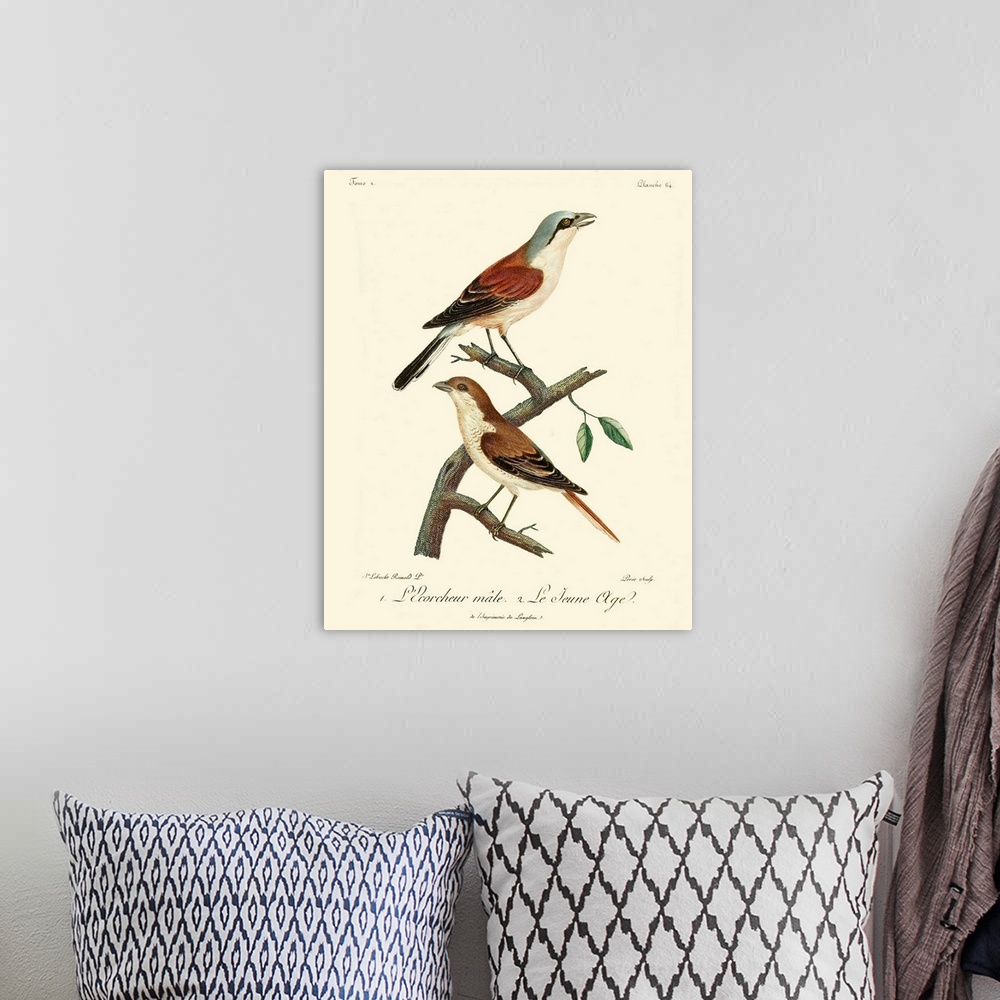 A bohemian room featuring Vintage French Birds I