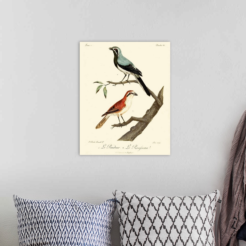 A bohemian room featuring Vintage French Birds II