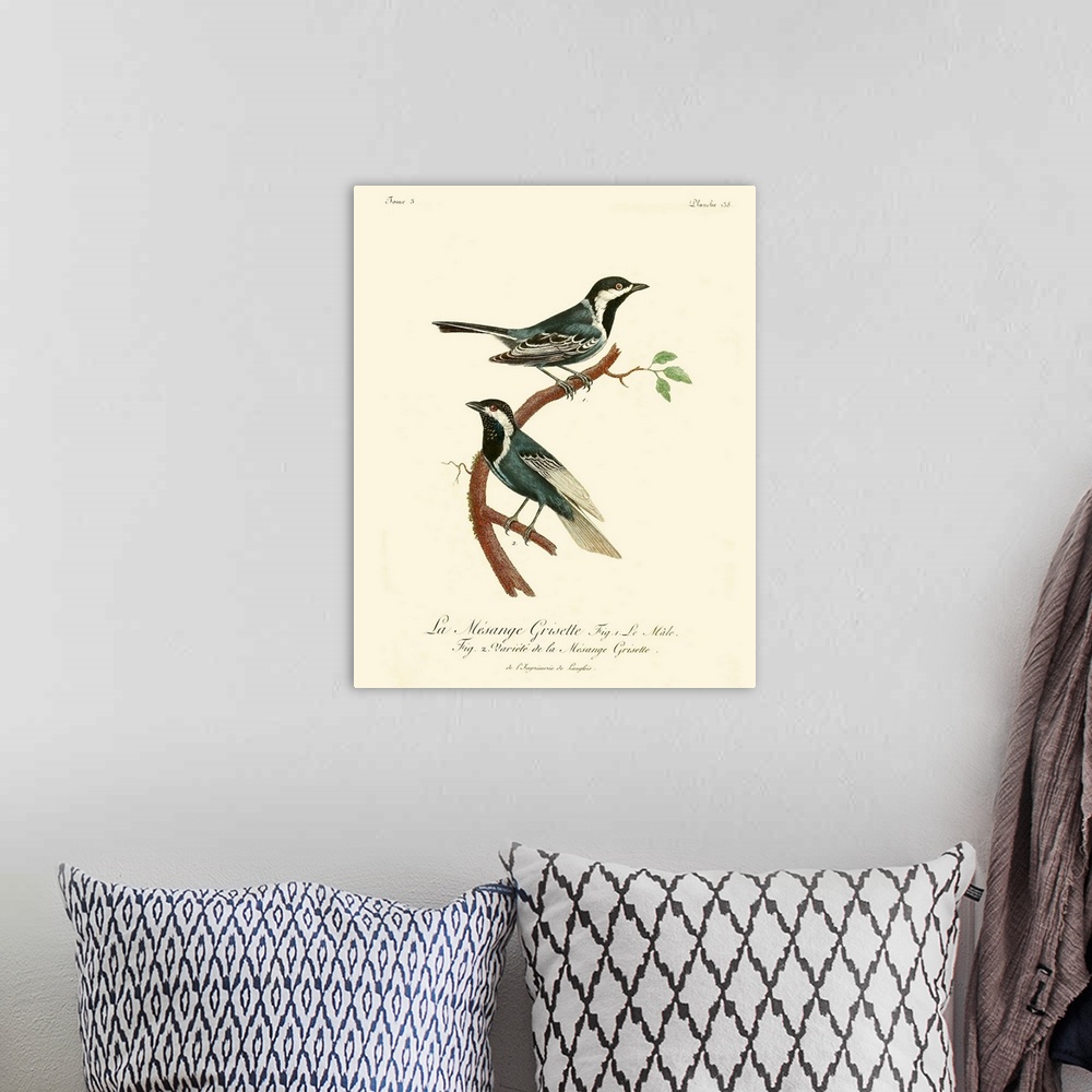 A bohemian room featuring Vintage French Birds III