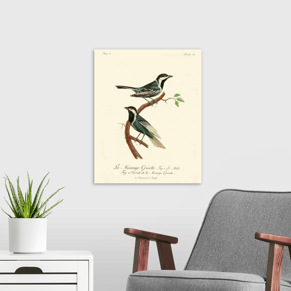 A modern room featuring Vintage French Birds III
