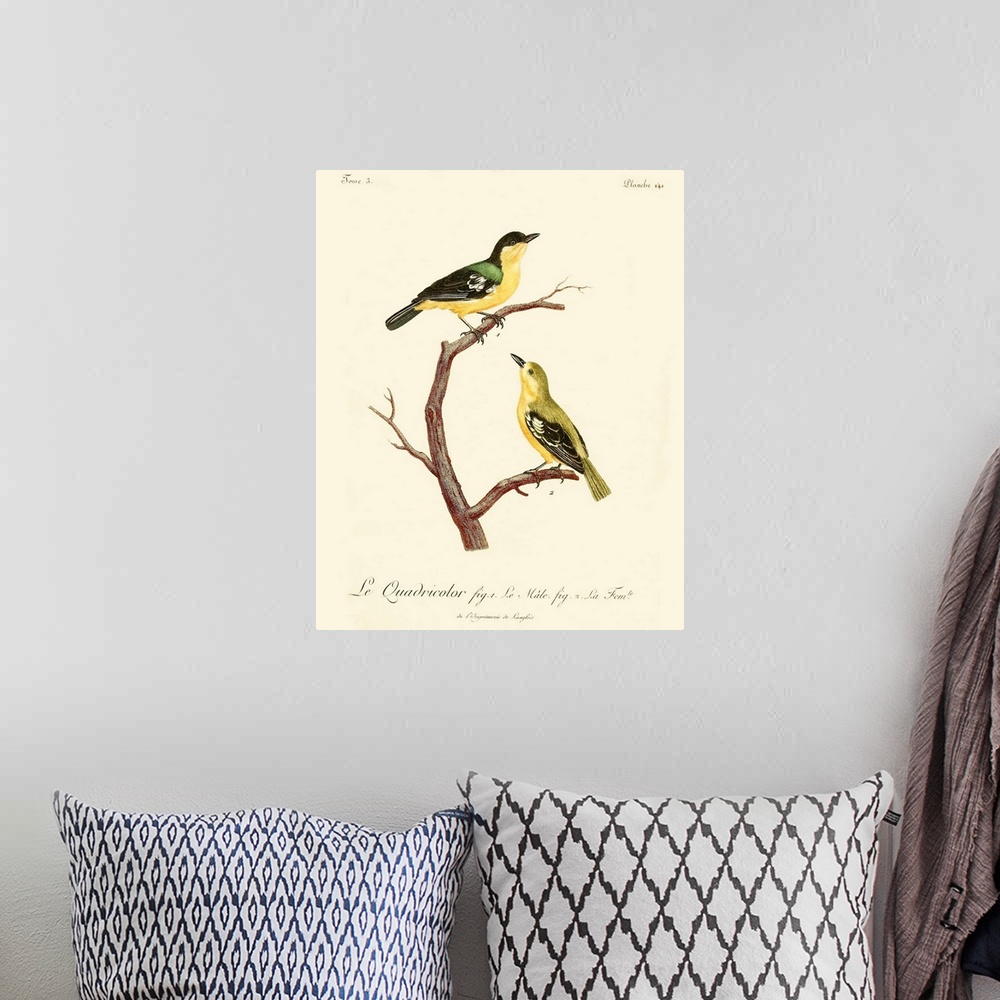 A bohemian room featuring Vintage French Birds V