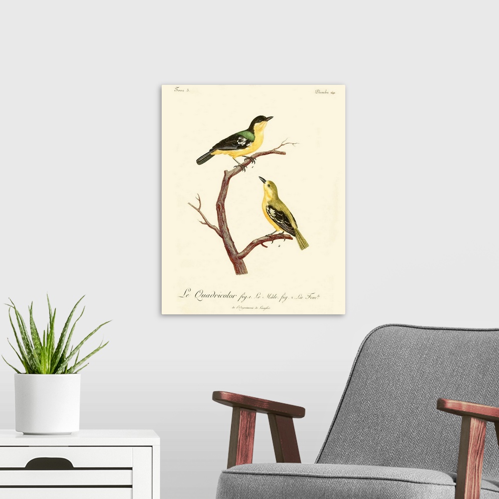 A modern room featuring Vintage French Birds V