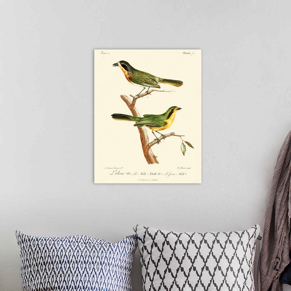 A bohemian room featuring Vintage French Birds VI