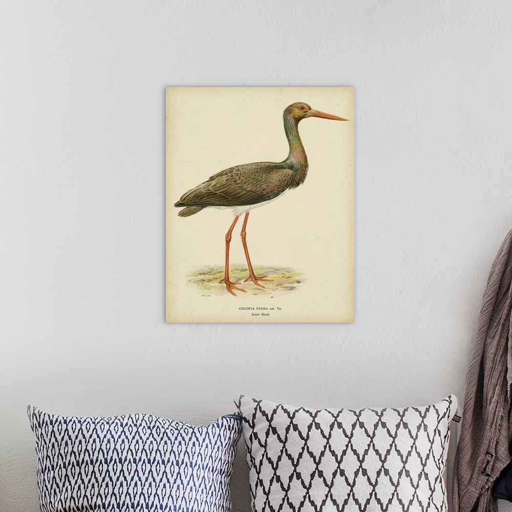 A bohemian room featuring Vintage Heron I