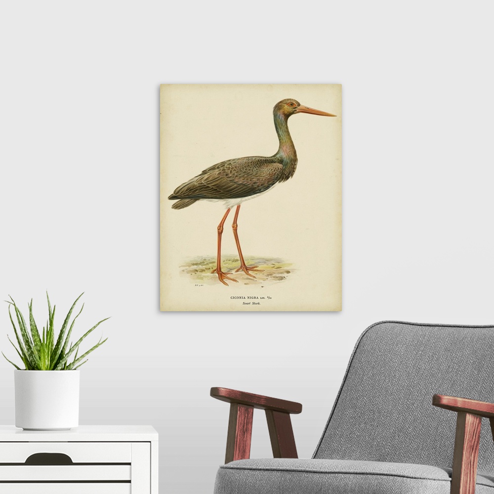 A modern room featuring Vintage Heron I