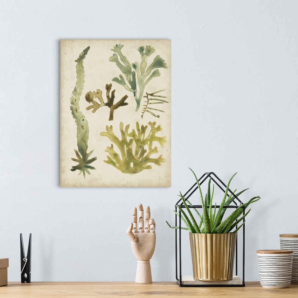 A bohemian room featuring Vintage Sea Fronds I