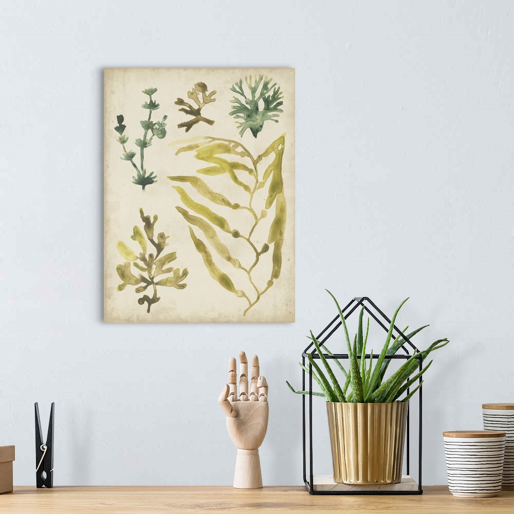 A bohemian room featuring Vintage Sea Fronds IV