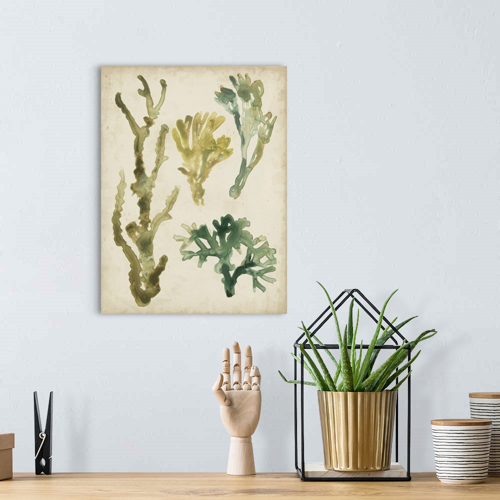 A bohemian room featuring Vintage Sea Fronds V