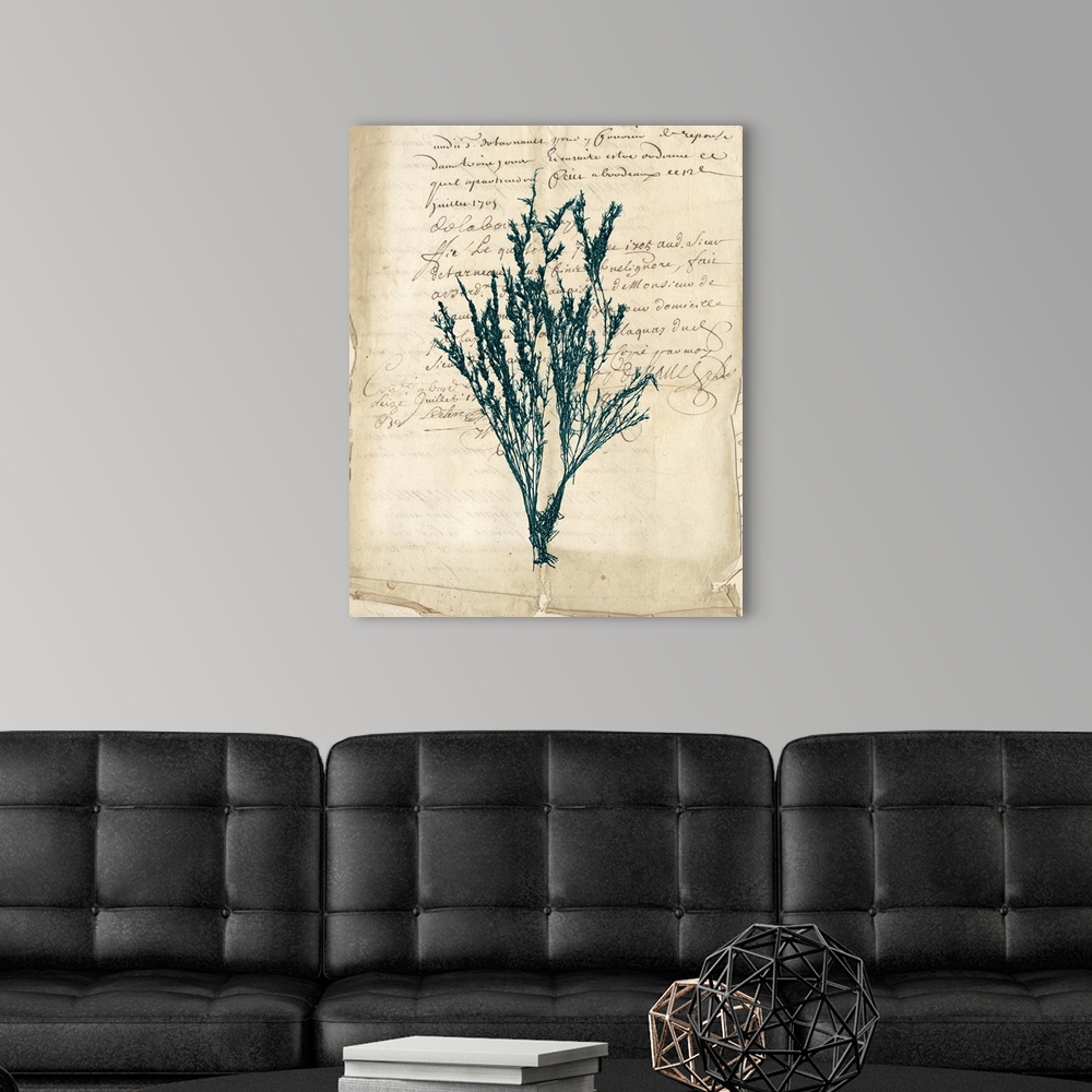 A modern room featuring Vintage Teal Seaweed VIII