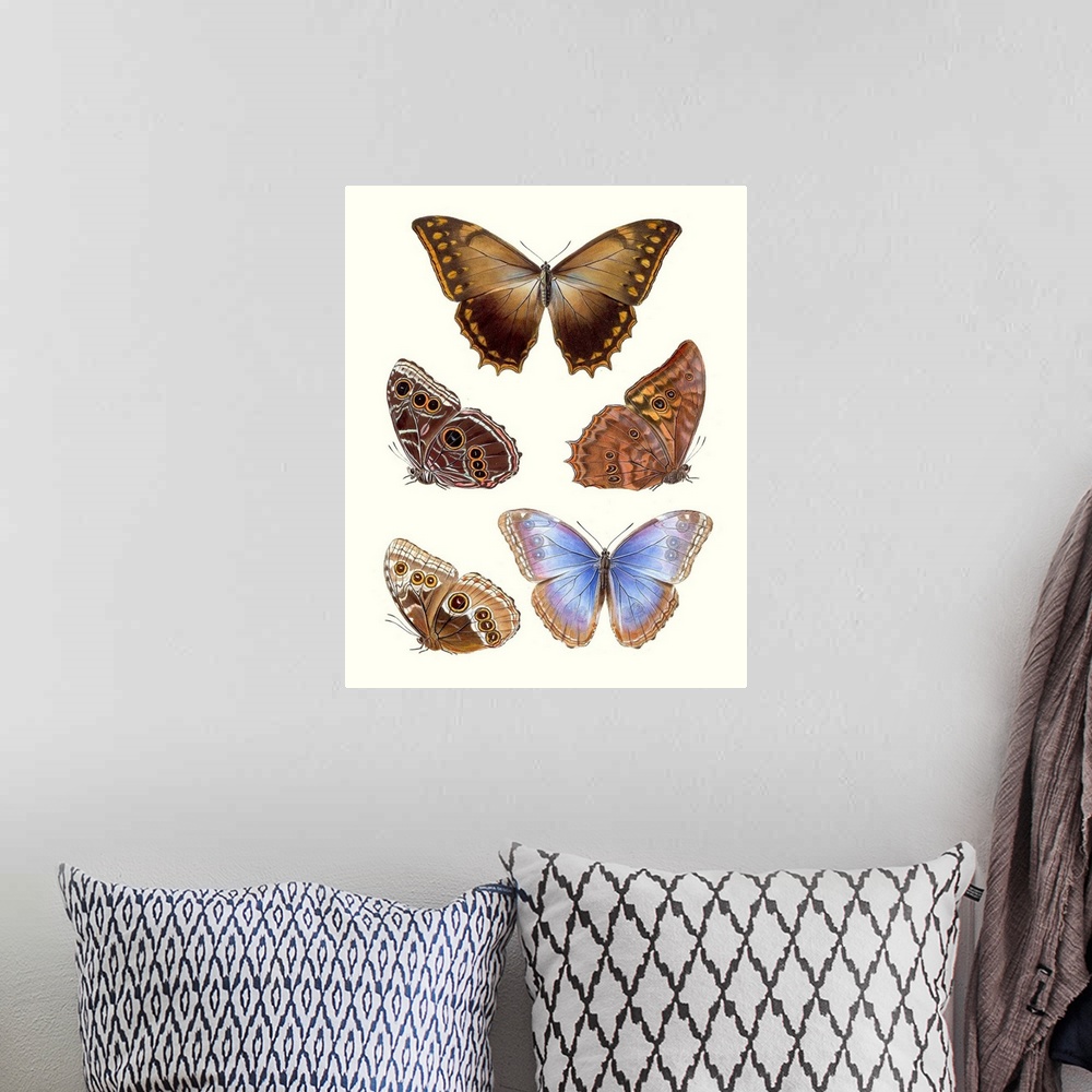 A bohemian room featuring Violet Butterflies I
