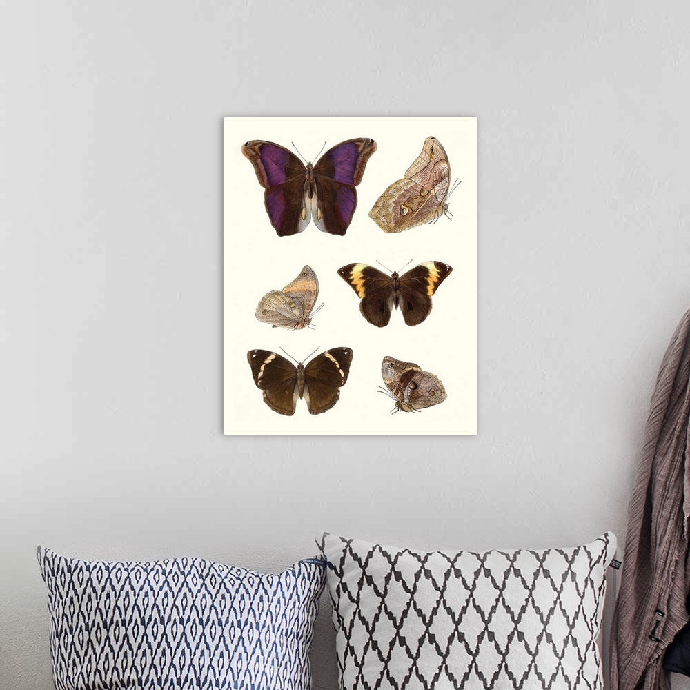 A bohemian room featuring Violet Butterflies II
