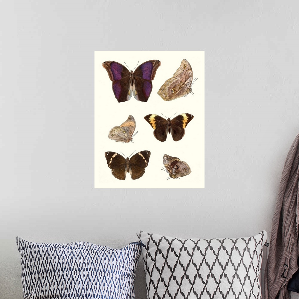 A bohemian room featuring Violet Butterflies II
