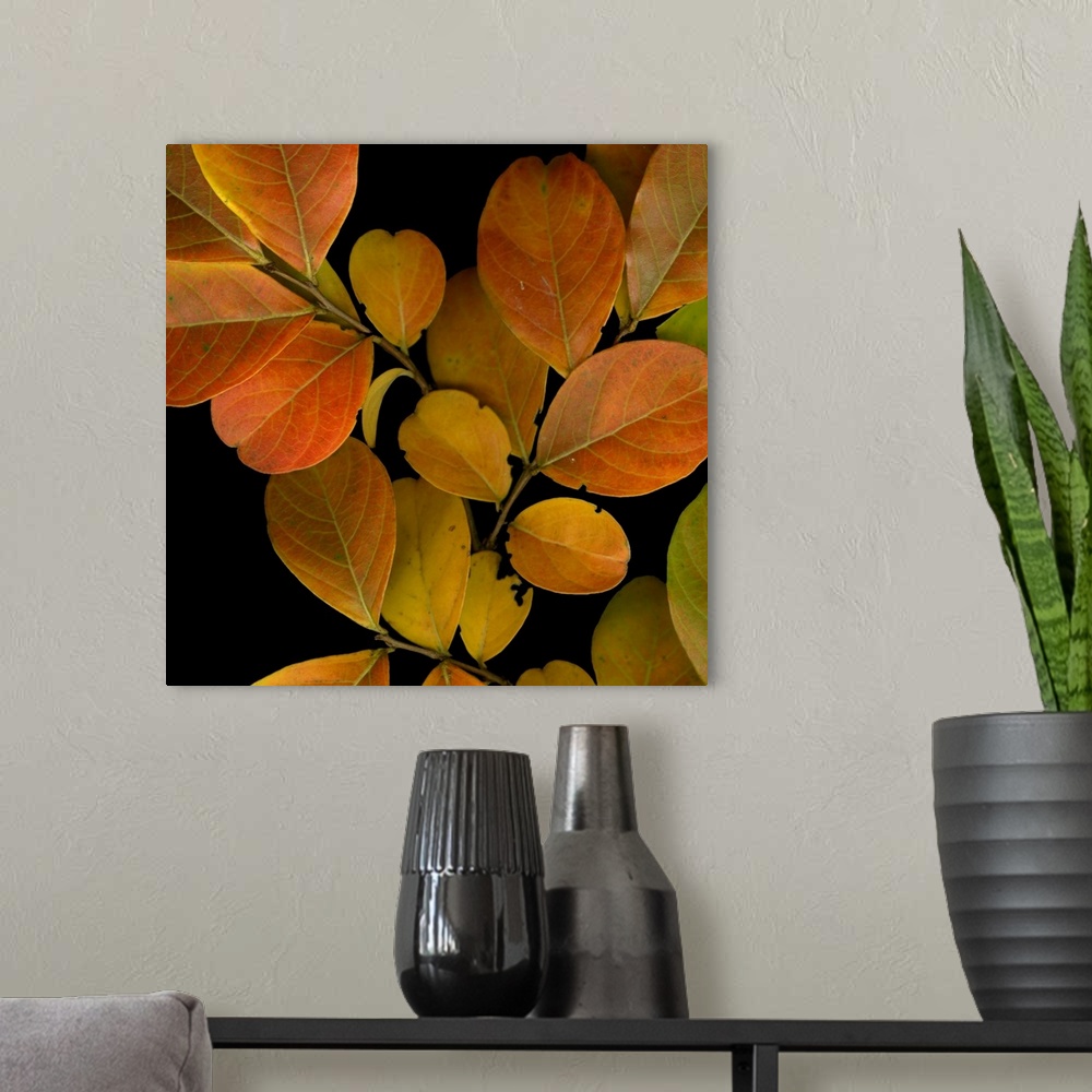 A modern room featuring Vivid Leaves I