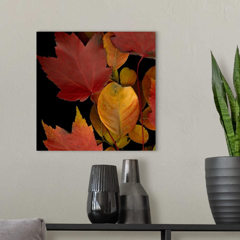 A modern room featuring Vivid Leaves IV