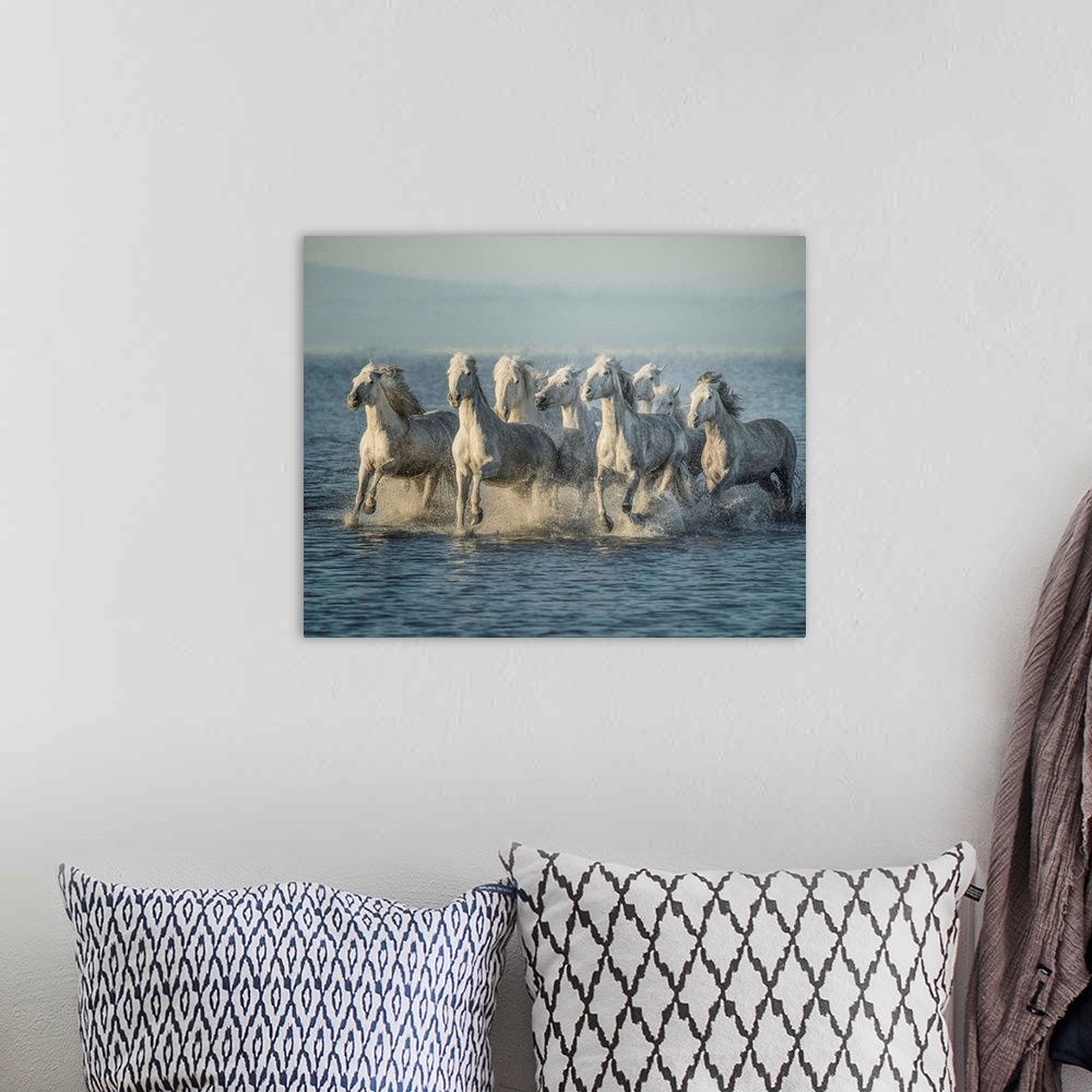 A bohemian room featuring Water Horses VI