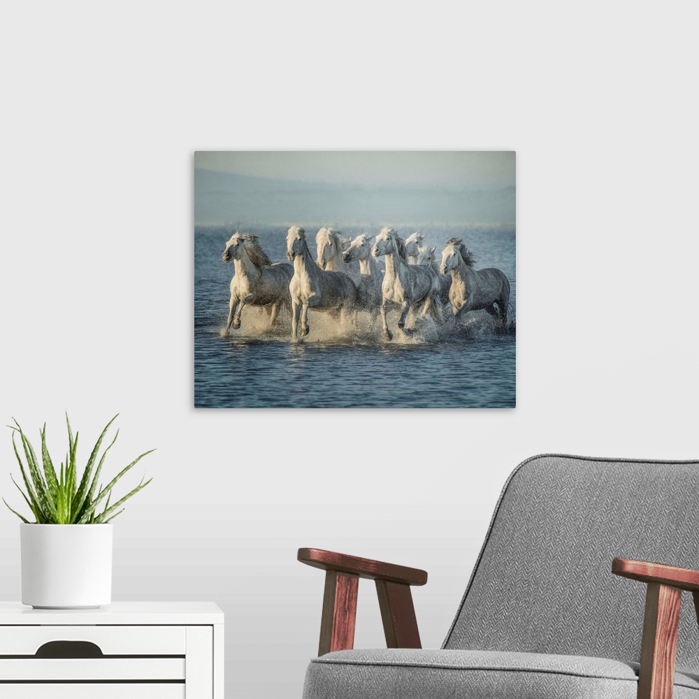 A modern room featuring Water Horses VI