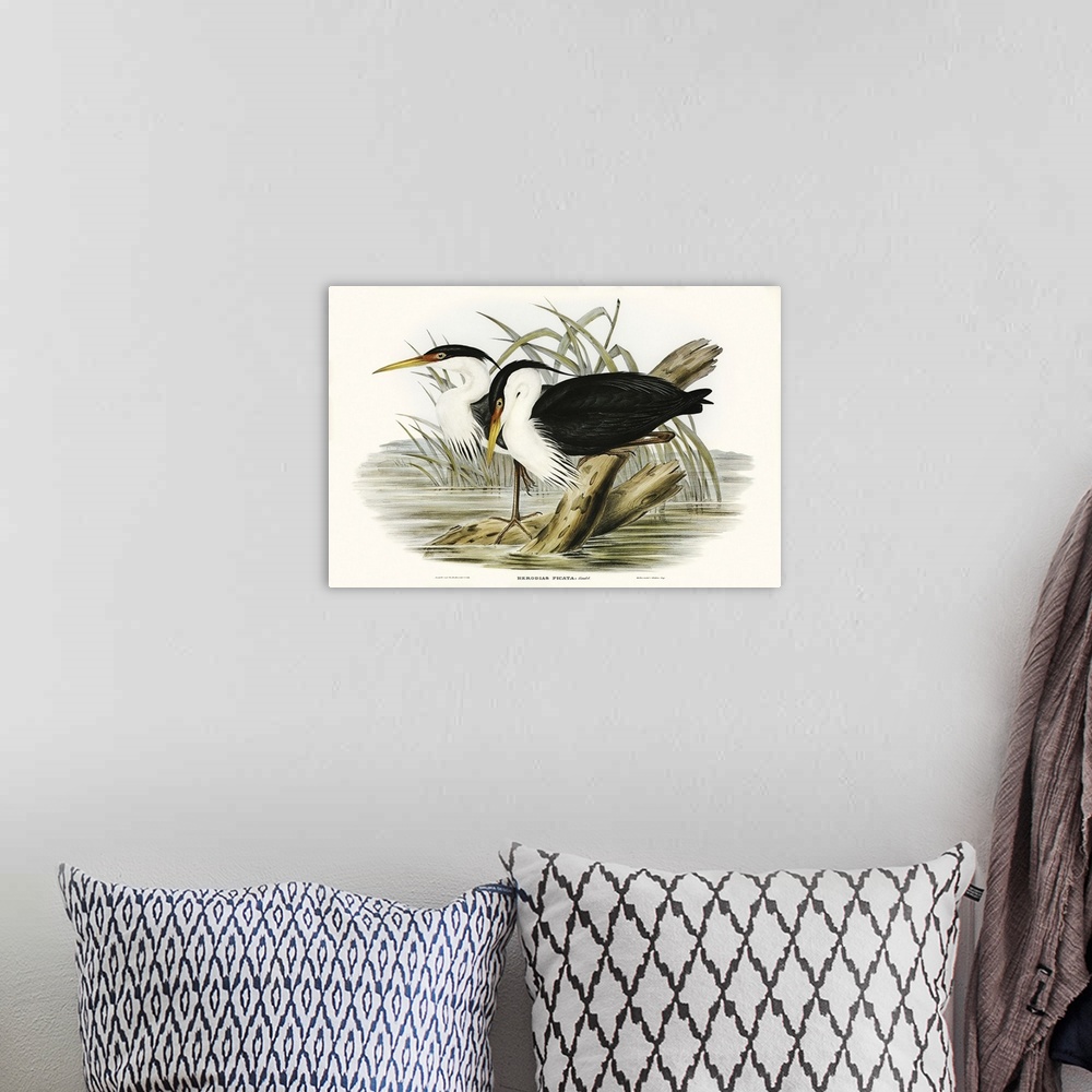 A bohemian room featuring Waterbird Pairing II