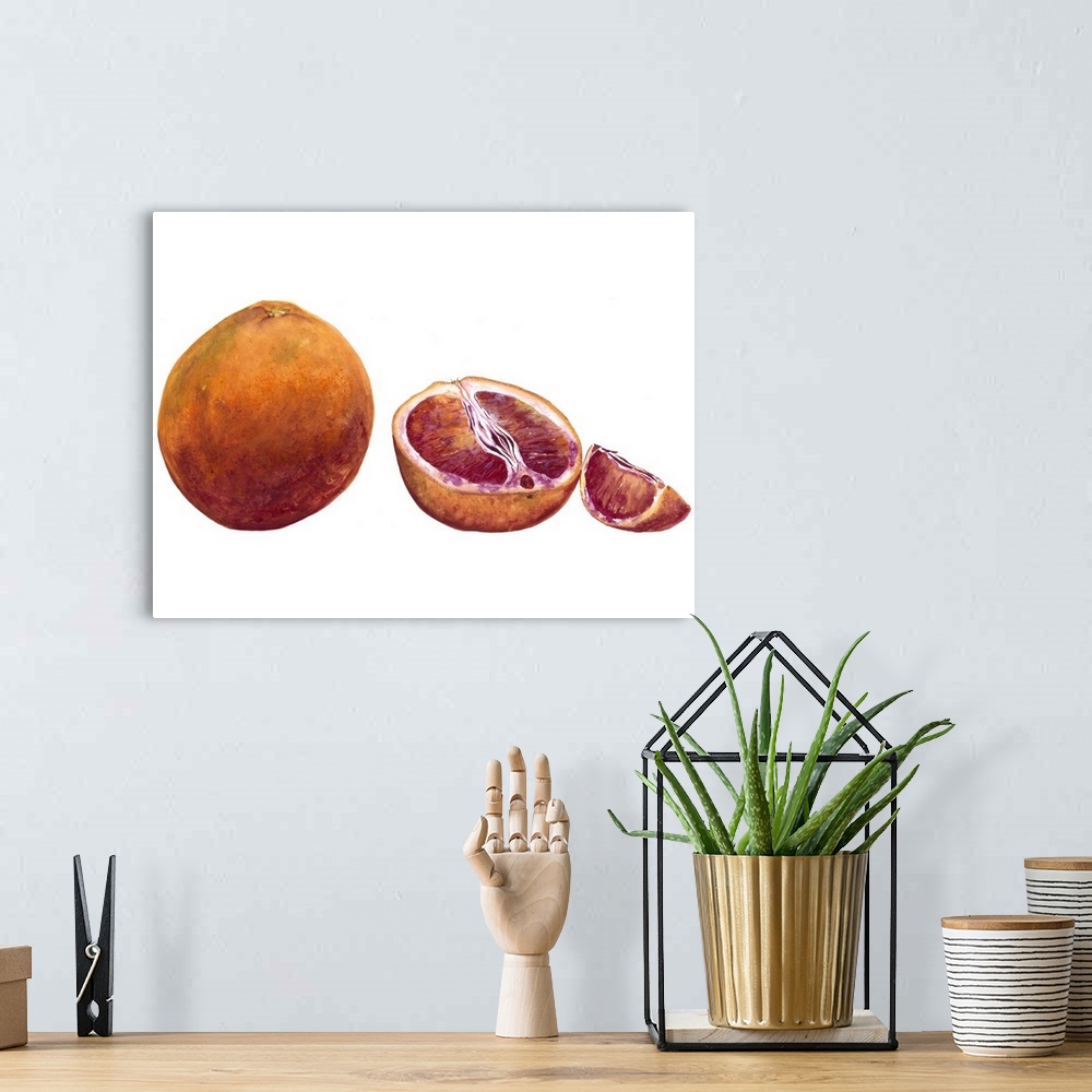 A bohemian room featuring Watercolor painting of a whole and halved blood orange against a white background.