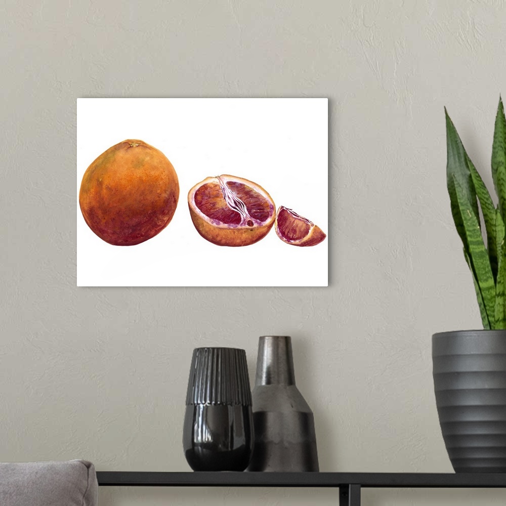 A modern room featuring Watercolor painting of a whole and halved blood orange against a white background.