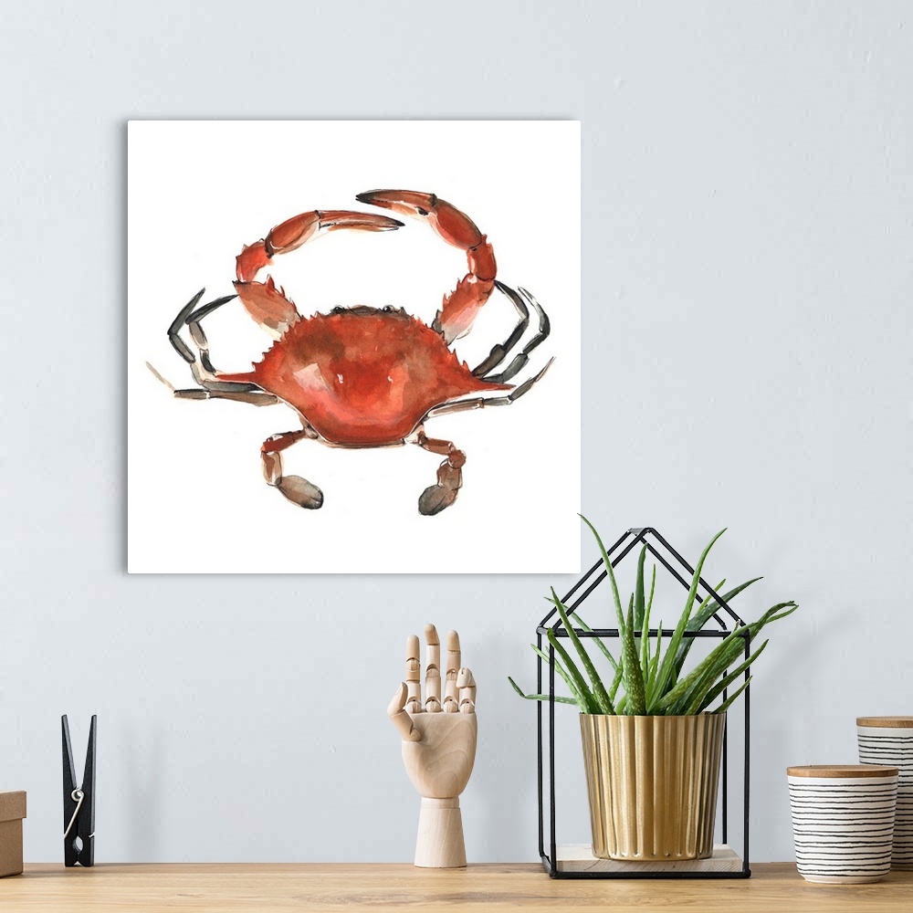 A bohemian room featuring Square decorative watercolor of a red crab on a white background.