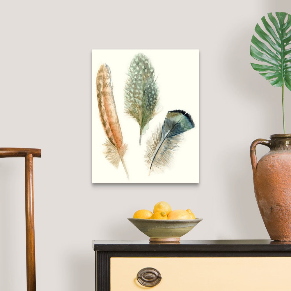A traditional room featuring Contemporary watercolor feather illustrations.