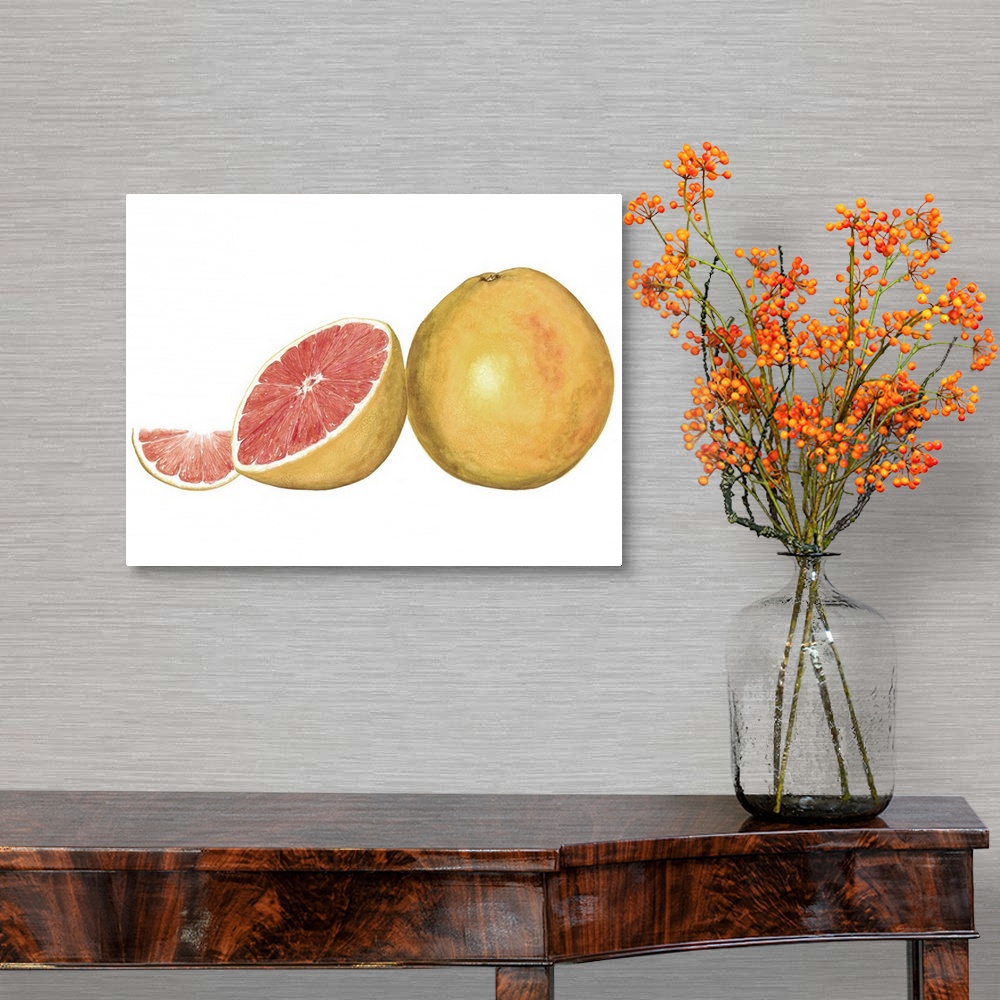 A traditional room featuring Watercolor painting of a whole and halved grapefruit against a white background.