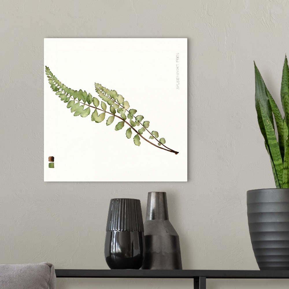 A modern room featuring Watercolor Leaf Study I
