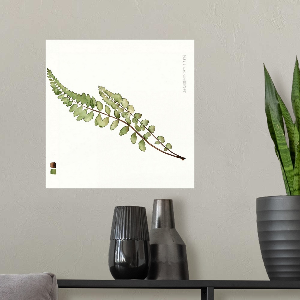 A modern room featuring Watercolor Leaf Study I