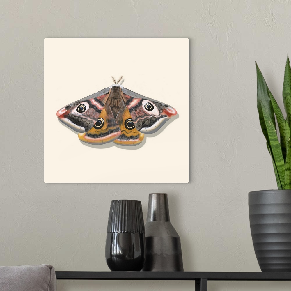 A modern room featuring Watercolor Moths I