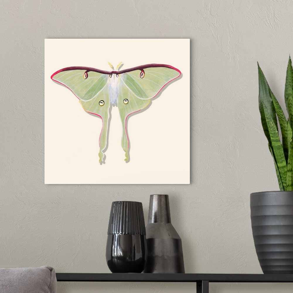 A modern room featuring Watercolor Moths IV