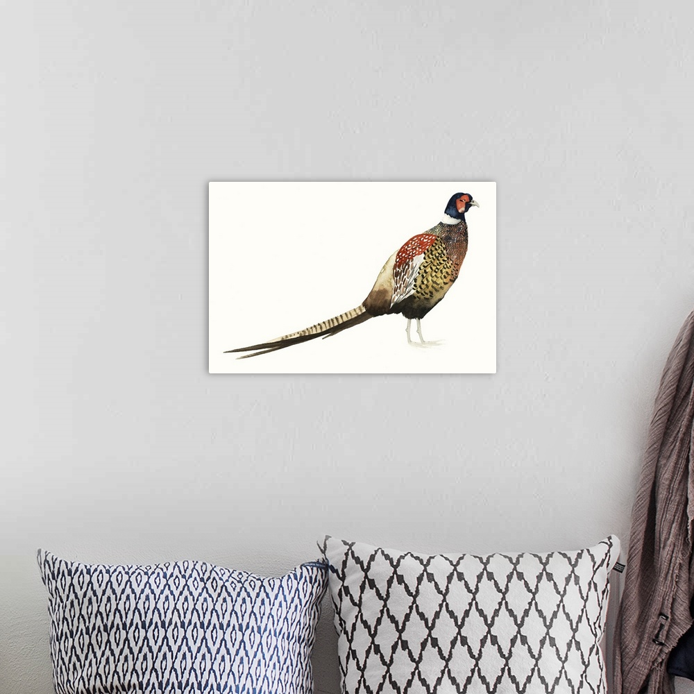 A bohemian room featuring Watercolor painting of a male pheasant against a white background.