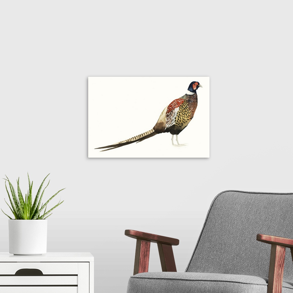 A modern room featuring Watercolor painting of a male pheasant against a white background.
