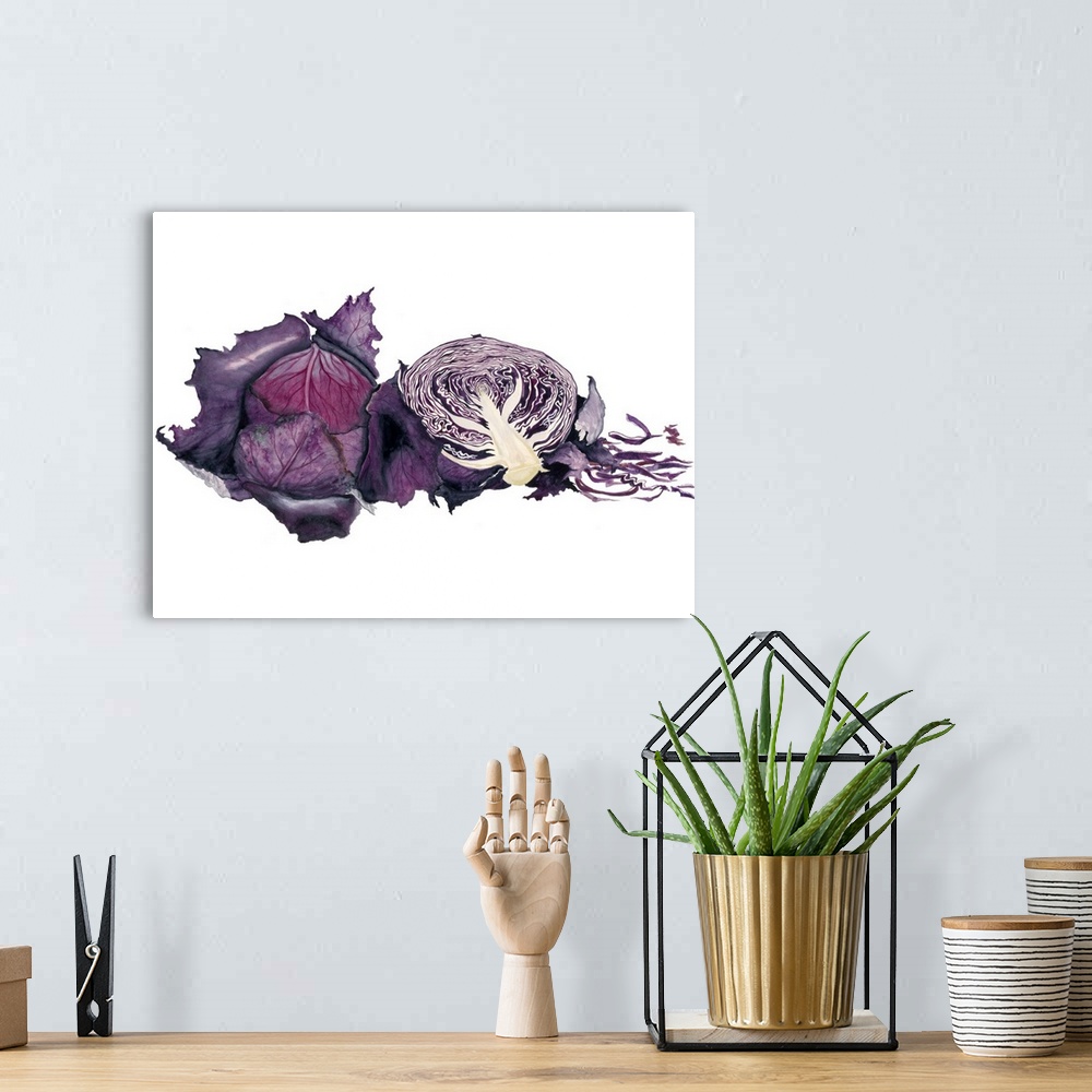 A bohemian room featuring Watercolor painting of a whole and halved purple cabbage against a white background.