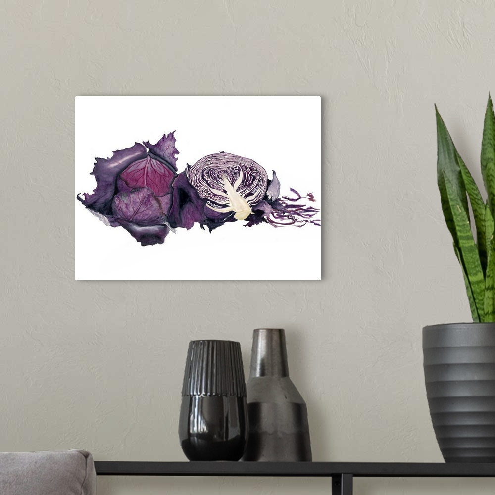 A modern room featuring Watercolor painting of a whole and halved purple cabbage against a white background.