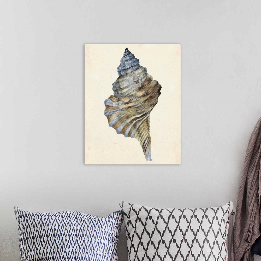 A bohemian room featuring Watercolor seashell in neutral tones.