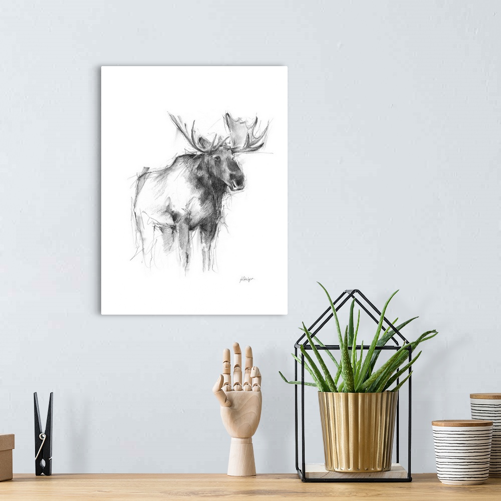 A bohemian room featuring Western Animal Sketch IV
