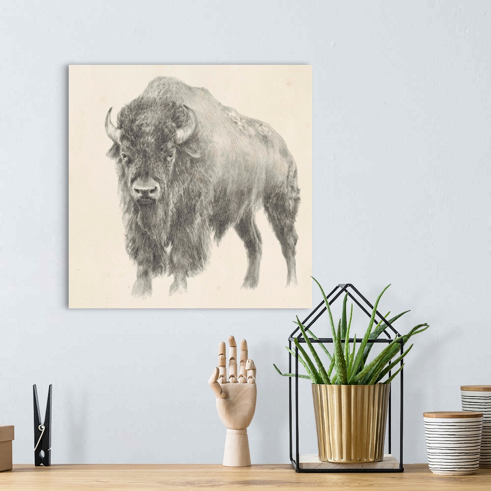 A bohemian room featuring Western Bison Study