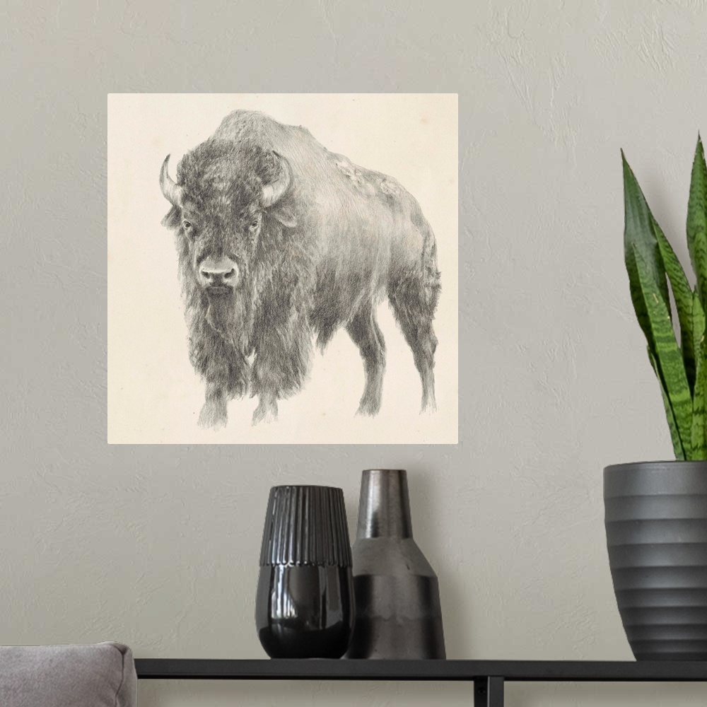 A modern room featuring Western Bison Study