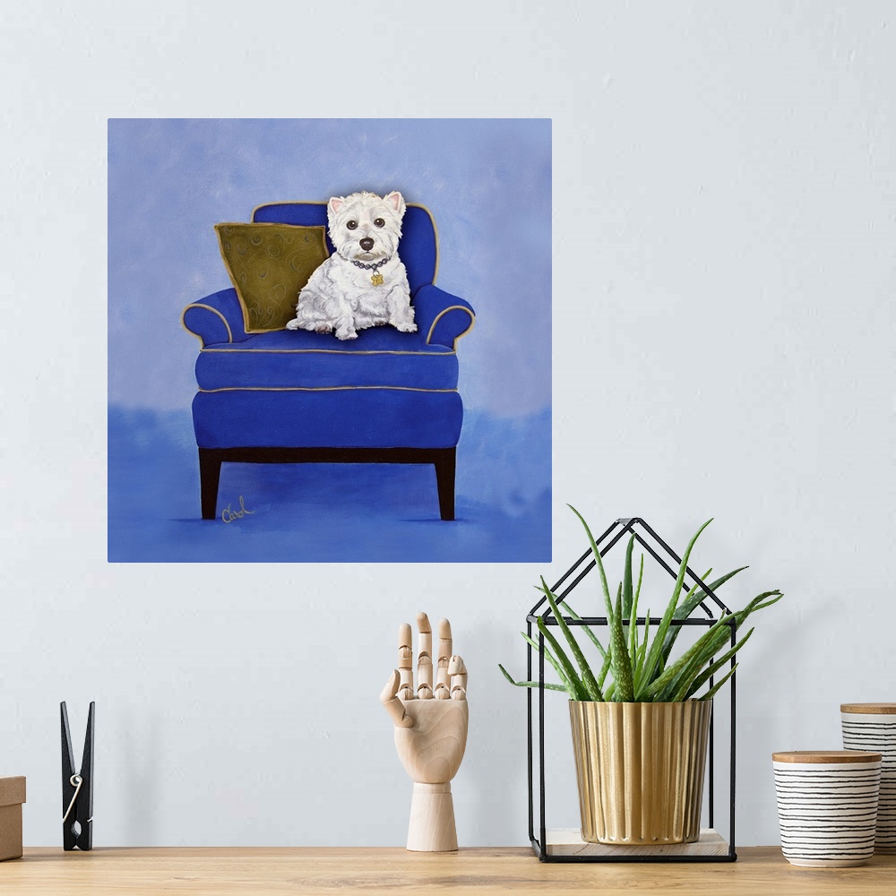 A bohemian room featuring Westie on Blue