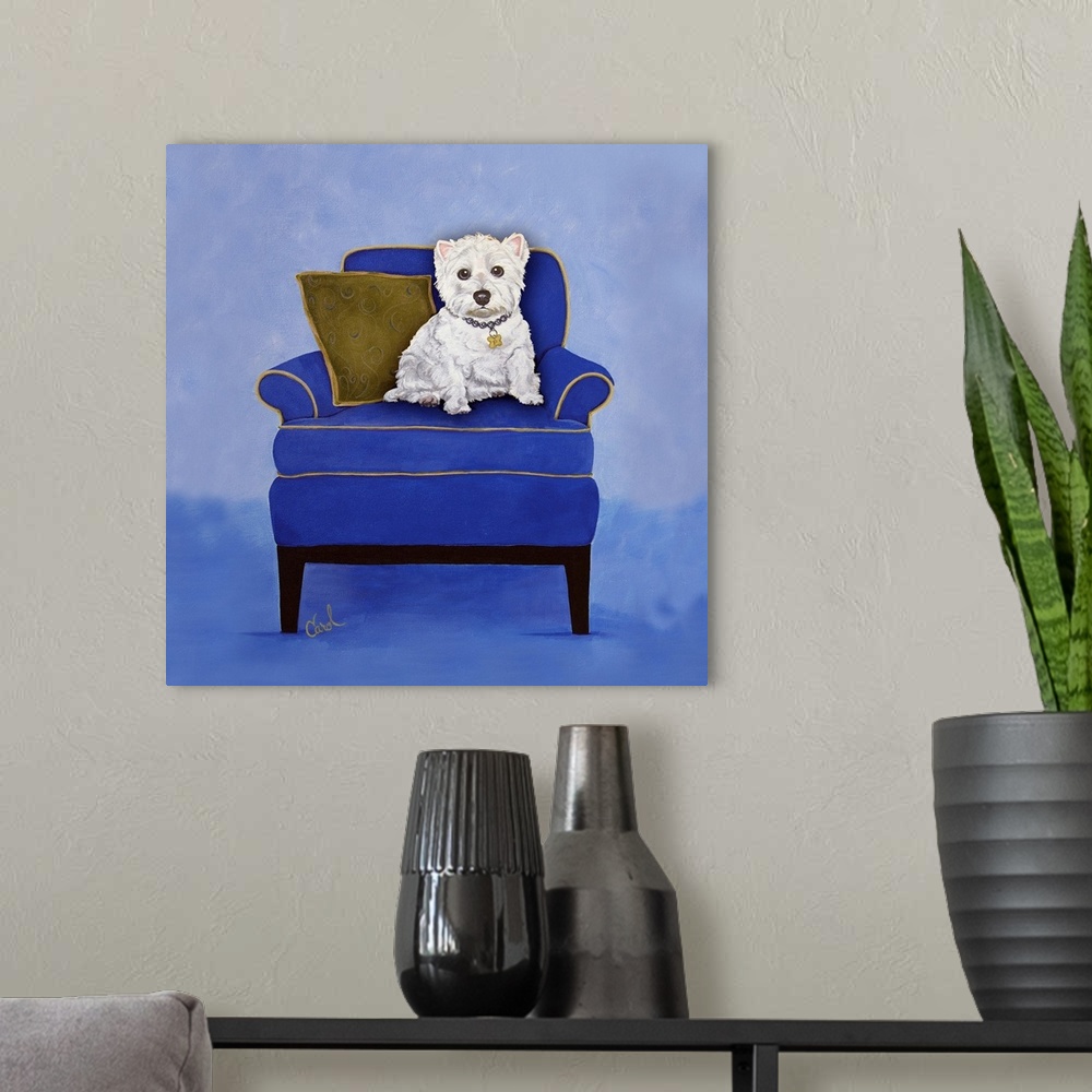 A modern room featuring Westie on Blue