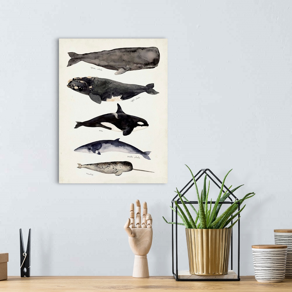 A bohemian room featuring Whale Chart I