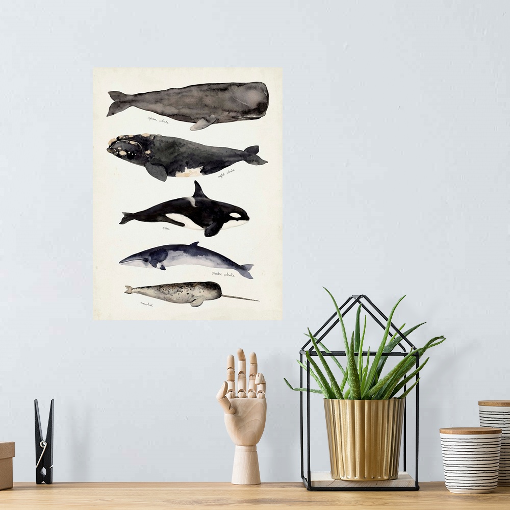 A bohemian room featuring Whale Chart I