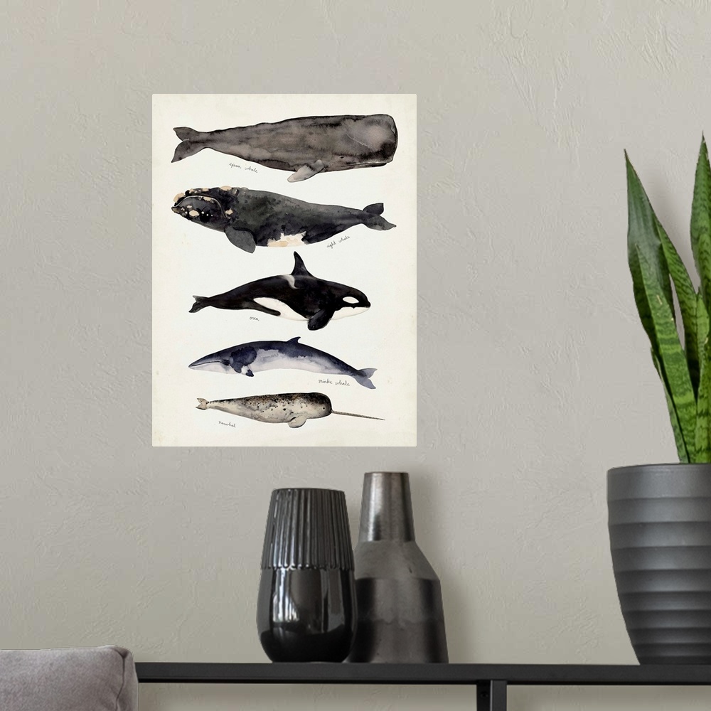A modern room featuring Whale Chart I