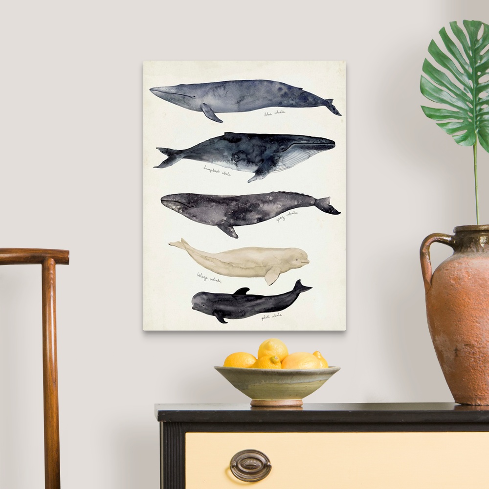 A traditional room featuring Whale Chart II