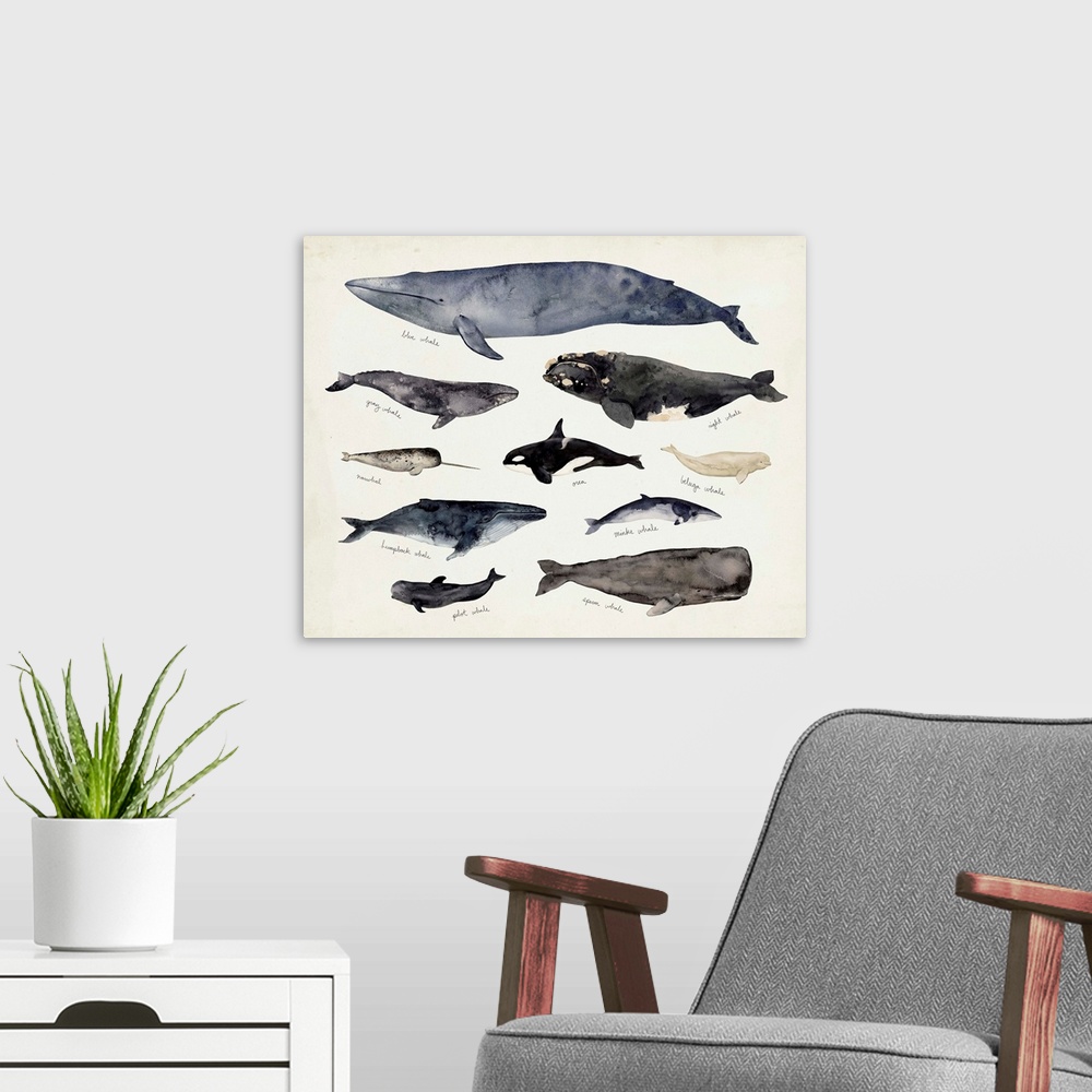 A modern room featuring Whale Chart III