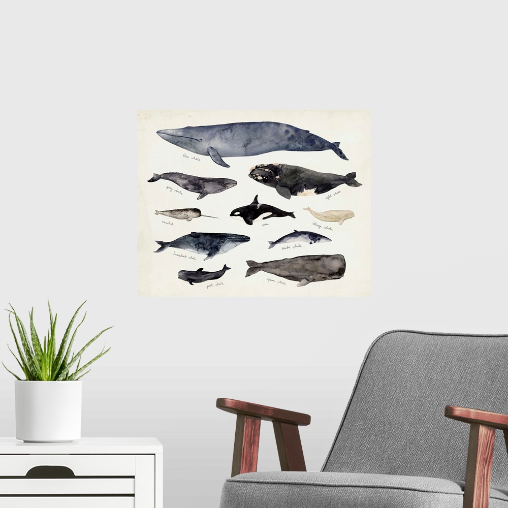 A modern room featuring Whale Chart III