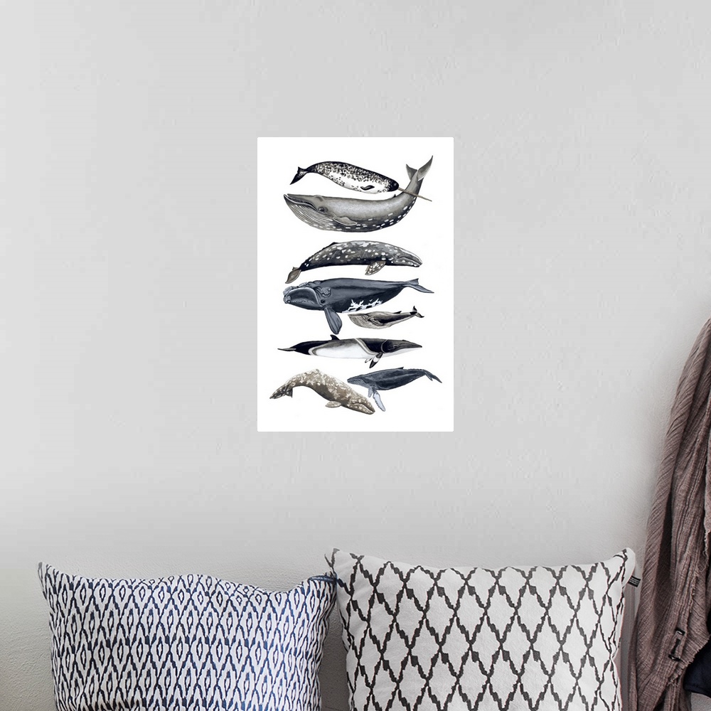 A bohemian room featuring Contemporary painting of different whale species in a vertical order against a white background.