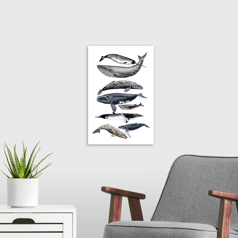A modern room featuring Contemporary painting of different whale species in a vertical order against a white background.