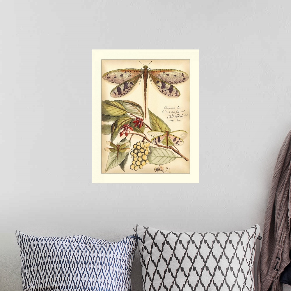 A bohemian room featuring Whimsical Dragonflies I