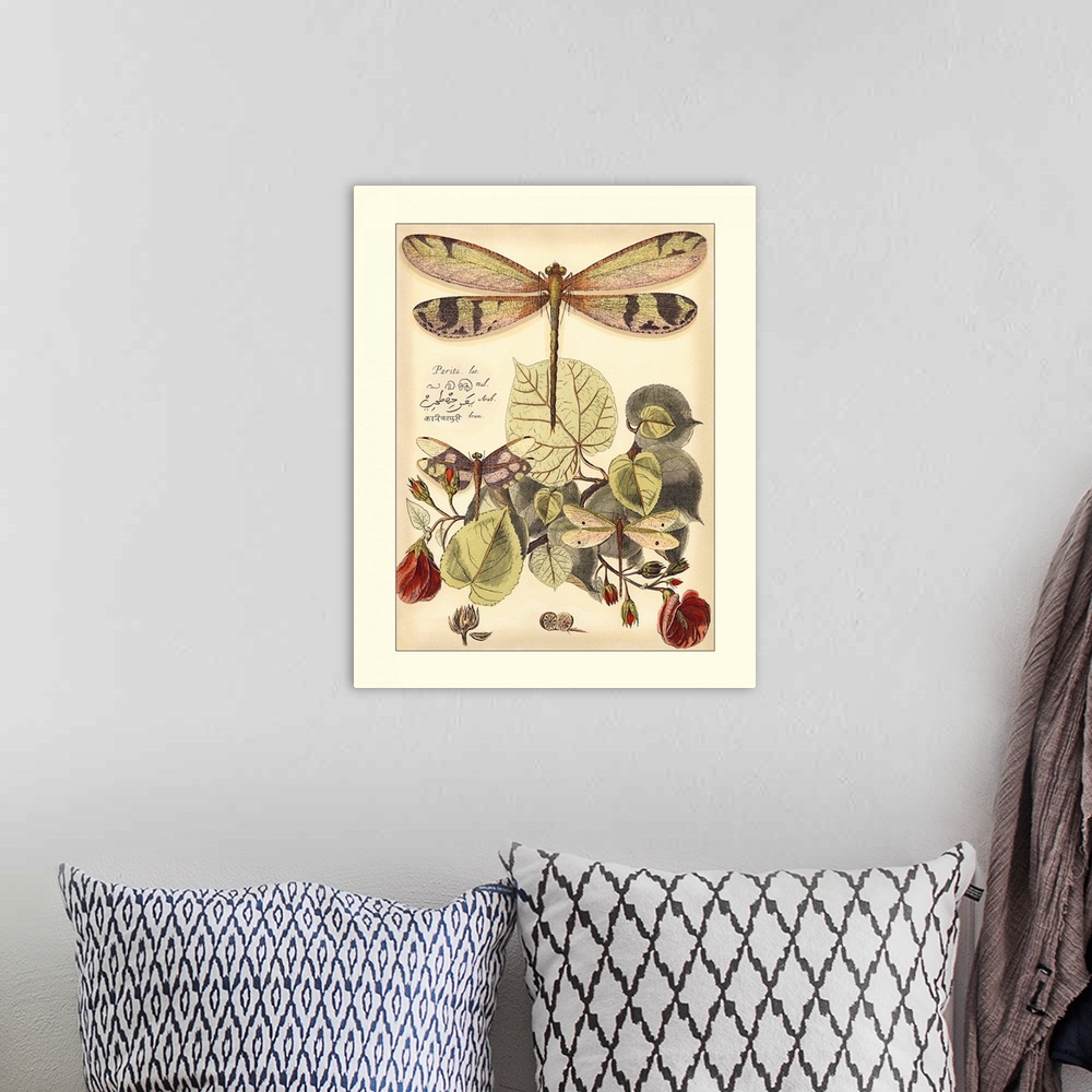 A bohemian room featuring Whimsical Dragonflies II